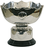 The AFC Asian Cup